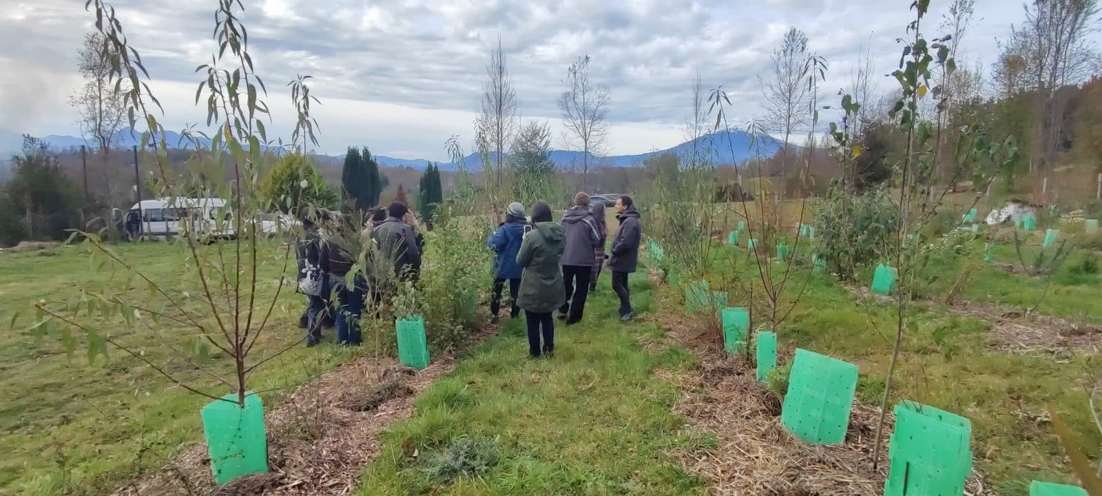 Visita a plantación en la Ruta Regenerativa